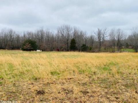 60 Traw Ln, Mammoth Spring, AR 72554 photo 19