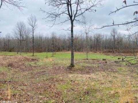 60 Traw Ln, Mammoth Spring, AR 72554 photo 30