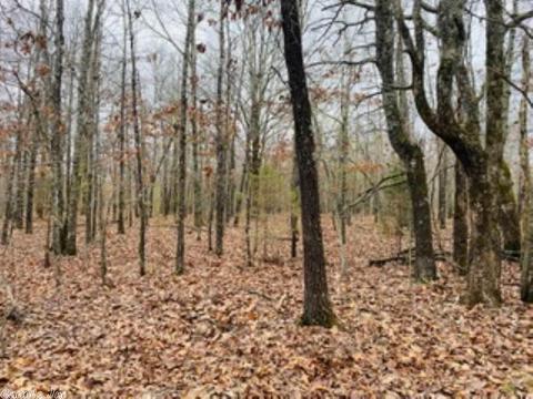 60 Traw Ln, Mammoth Spring, AR 72554 photo 33