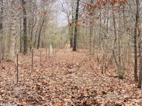 60 Traw Ln, Mammoth Spring, AR 72554 photo 32
