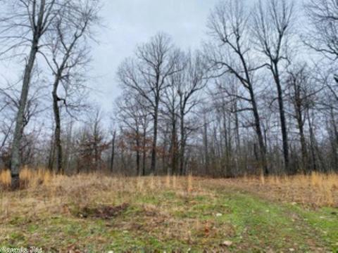 60 Traw Ln, Mammoth Spring, AR 72554 photo 34