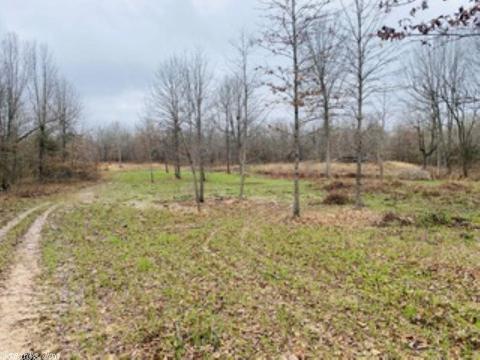 60 Traw Ln, Mammoth Spring, AR 72554 photo 24