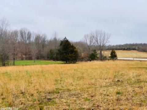 60 Traw Ln, Mammoth Spring, AR 72554 photo 20