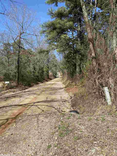 3076 Birch Rd, Bismarck, AR 71929 photo 40