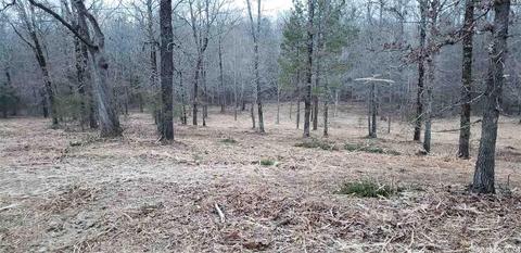 3025 Eggman Ln, Conway, AR 72034 photo 1