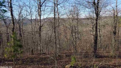 158 Pinewood Ln, Mena, AR 71953 photo 3