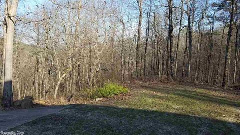 158 Pinewood Ln, Mena, AR 71953 photo 4