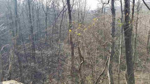 158 Pinewood Ln, Mena, AR 71953 photo 9