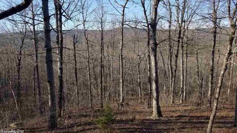 158 Pinewood Ln, Mena, AR 71953 photo 11