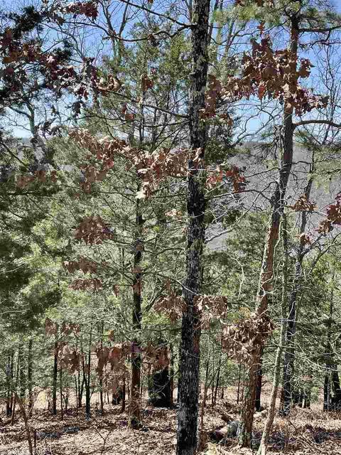 1859 Mcelroy Rd, Fox, AR 72051 photo 29