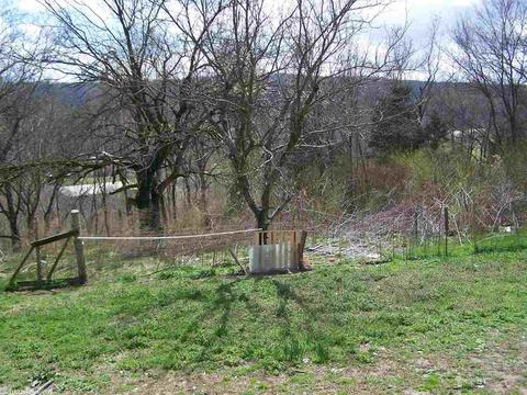 109 Grove St, Marshall, AR 72650 photo 5
