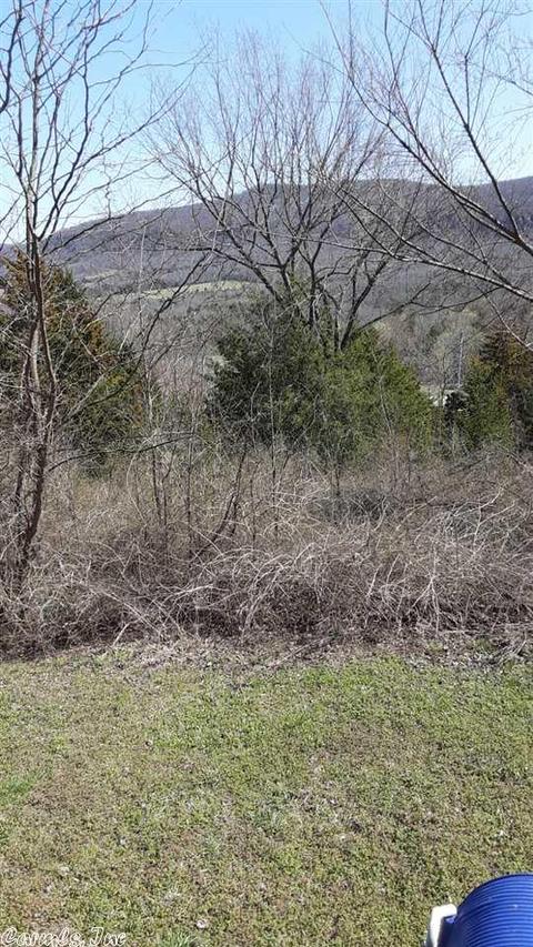 299 Crow Rd, Marshall, AR 72650 photo 8