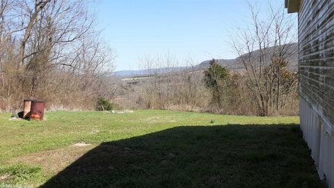 299 Crow Rd, Marshall, AR 72650 photo 4