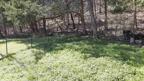 299 Crow Rd, Marshall, AR 72650 photo 7