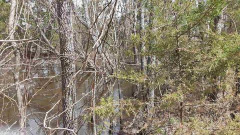 299 Crow Rd, Marshall, AR 72650 photo 3
