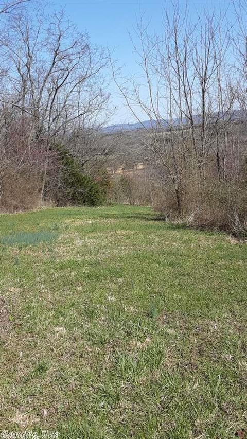 299 Crow Rd, Marshall, AR 72650 photo 2