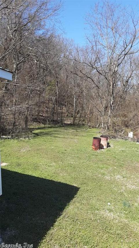299 Crow Rd, Marshall, AR 72650 photo 9