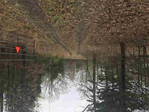 599 Dewey, Pangburn, AR 72121 photo 2
