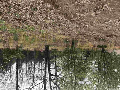 599 Dewey, Pangburn, AR 72121 photo 13