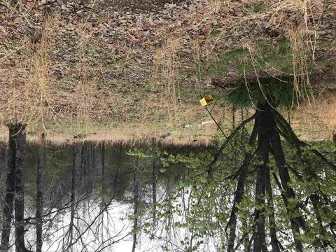 599 Dewey, Pangburn, AR 72121 photo 15