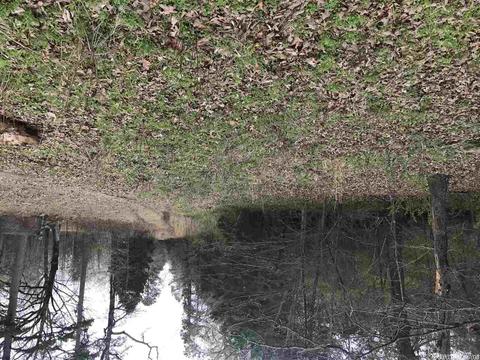 599 Dewey, Pangburn, AR 72121 photo 11