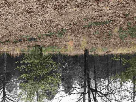 599 Dewey, Pangburn, AR 72121 photo 14