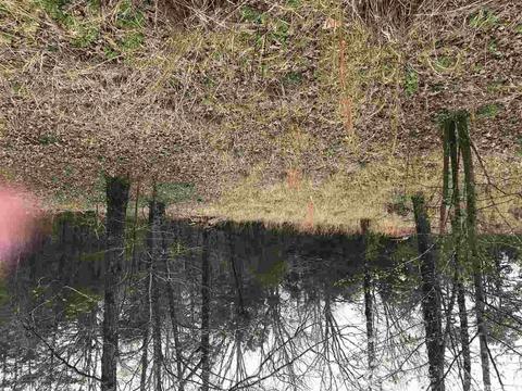 599 Dewey, Pangburn, AR 72121 photo 8