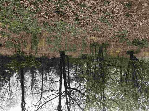 599 Dewey, Pangburn, AR 72121 photo 7
