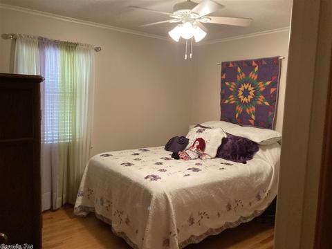 902 Pike, Des Arc, AR 72040 photo 15