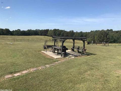347 Acres Rd, Williford, AR 72482 photo 40