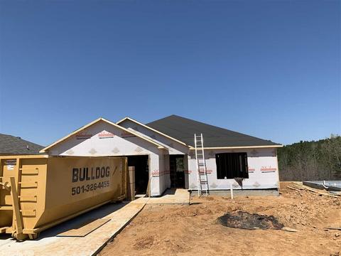 2048 River Birch Trl, Bauxite, AR 72011 photo 1