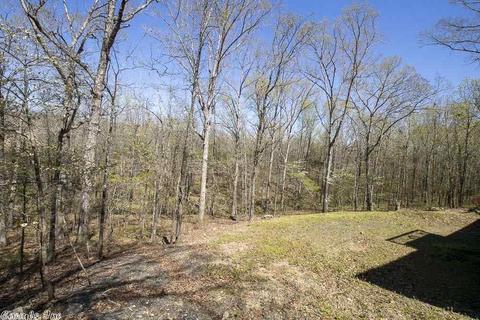 32 Thompson Dr, Cabot, AR 72023 photo 35