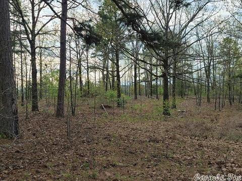 88 Crestview, Conway, AR 72034 photo 2