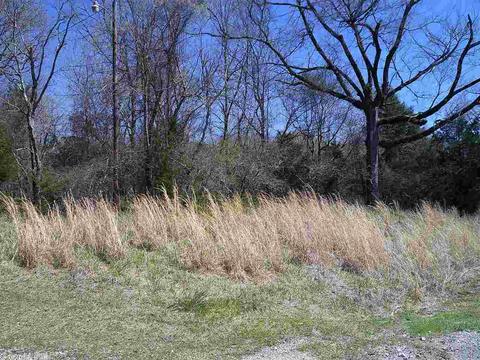 676 Owley Rd, Mount Ida, AR 71957 photo 13