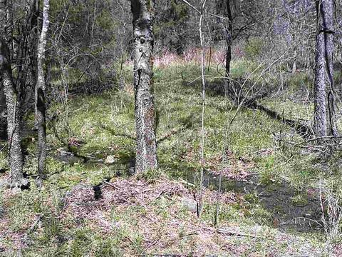 676 Owley Rd, Mount Ida, AR 71957 photo 12