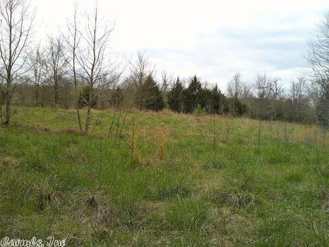 676 Owley Rd, Mount Ida, AR 71957 photo 19
