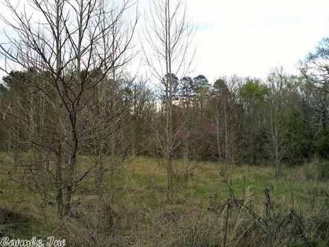 676 Owley Rd, Mount Ida, AR 71957 photo 5