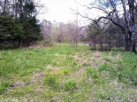 676 Owley Rd, Mount Ida, AR 71957 photo 3