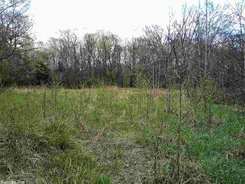 676 Owley Rd, Mount Ida, AR 71957 photo 4