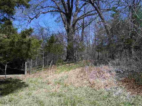 676 Owley Rd, Mount Ida, AR 71957 photo 10