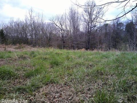 676 Owley Rd, Mount Ida, AR 71957 photo 2