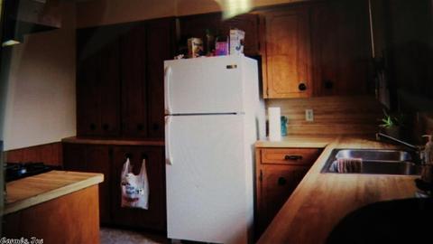 154 Nathaniel Cv, Clinton, AR 72031 photo 8