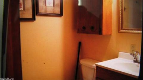 154 Nathaniel Cv, Clinton, AR 72031 photo 10