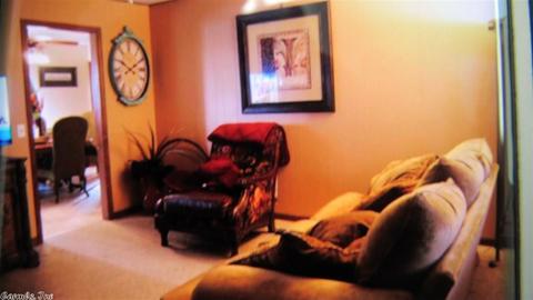 154 Nathaniel Cv, Clinton, AR 72031 photo 5