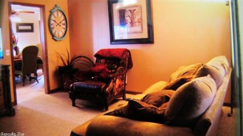 154 Nathaniel Cv, Clinton, AR 72031 photo 6