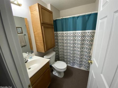 1158 Diamond Head Rd, Drasco, AR 72530 photo 20
