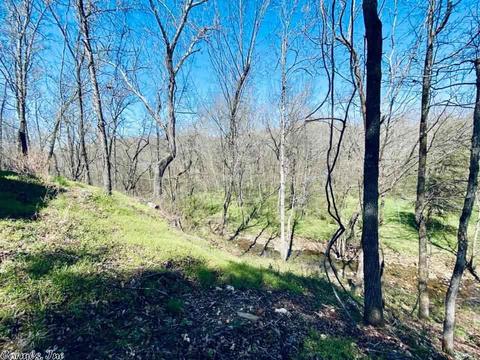 103 Harding, Mountain View, AR 72560 photo 32