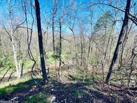 103 Harding, Mountain View, AR 72560 photo 30