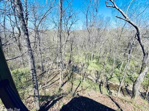 103 Harding, Mountain View, AR 72560 photo 34