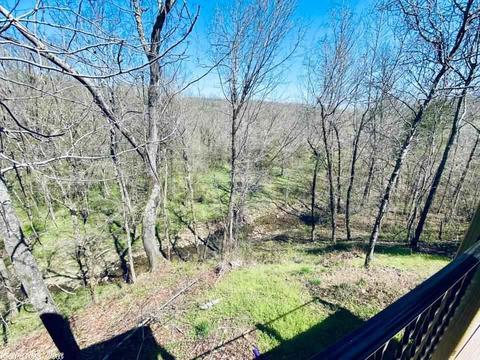 103 Harding, Mountain View, AR 72560 photo 33